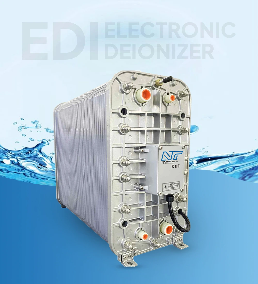 Electronic deionizer